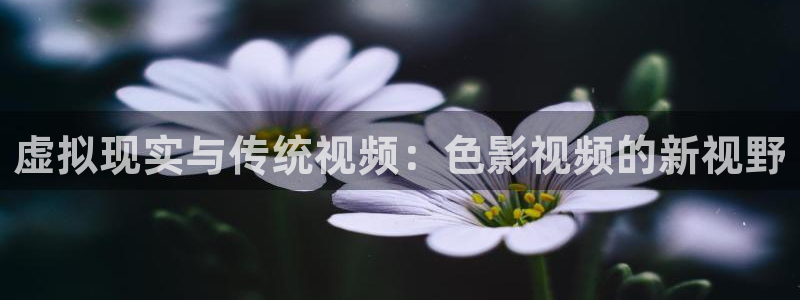 51视频在线观看：虚拟现实与传统视频：色影视频的新视野