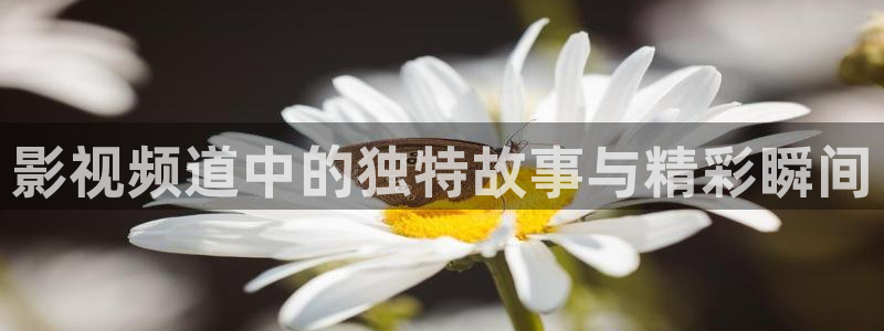 51视频网站在线观看：影视频道中的独特故事与精彩瞬间