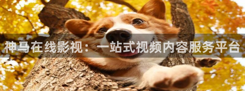 免费51视频：神马在线影视：一站式视频内容服务平台