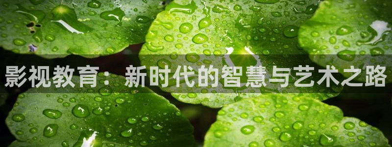 51视频在线看：影视教育：新时代的智慧与艺术之路