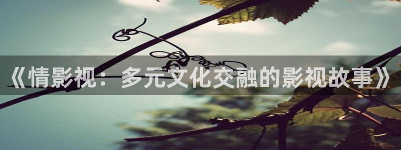 51视频交友网：《情影视：多元文化交融的影视故事》