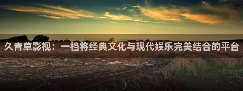 51视频国产精品：久青草影视：一档将经典文化与现代娱乐完美结合的平台