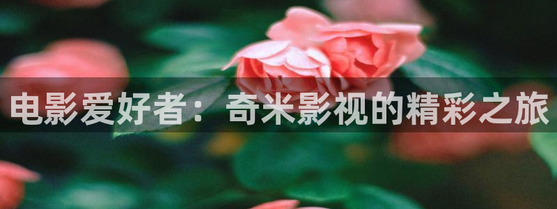 亚洲51视频：电影爱好者：奇米影视的精彩之旅